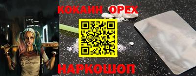 индика Ярославль