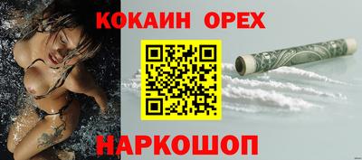 индика Ярославль