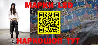 индика Ярославль
