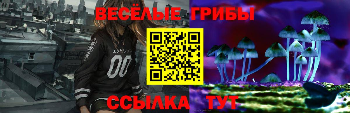 Псилоцибиновые грибы Psilocybe Верхний Уфалей
